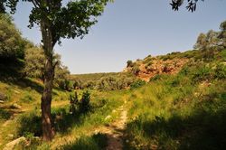 Wadi Sraya