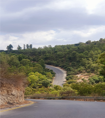 עין חוד 